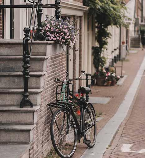 HELLO TRABAJO EN HOLANDA - PACK IMPULSA